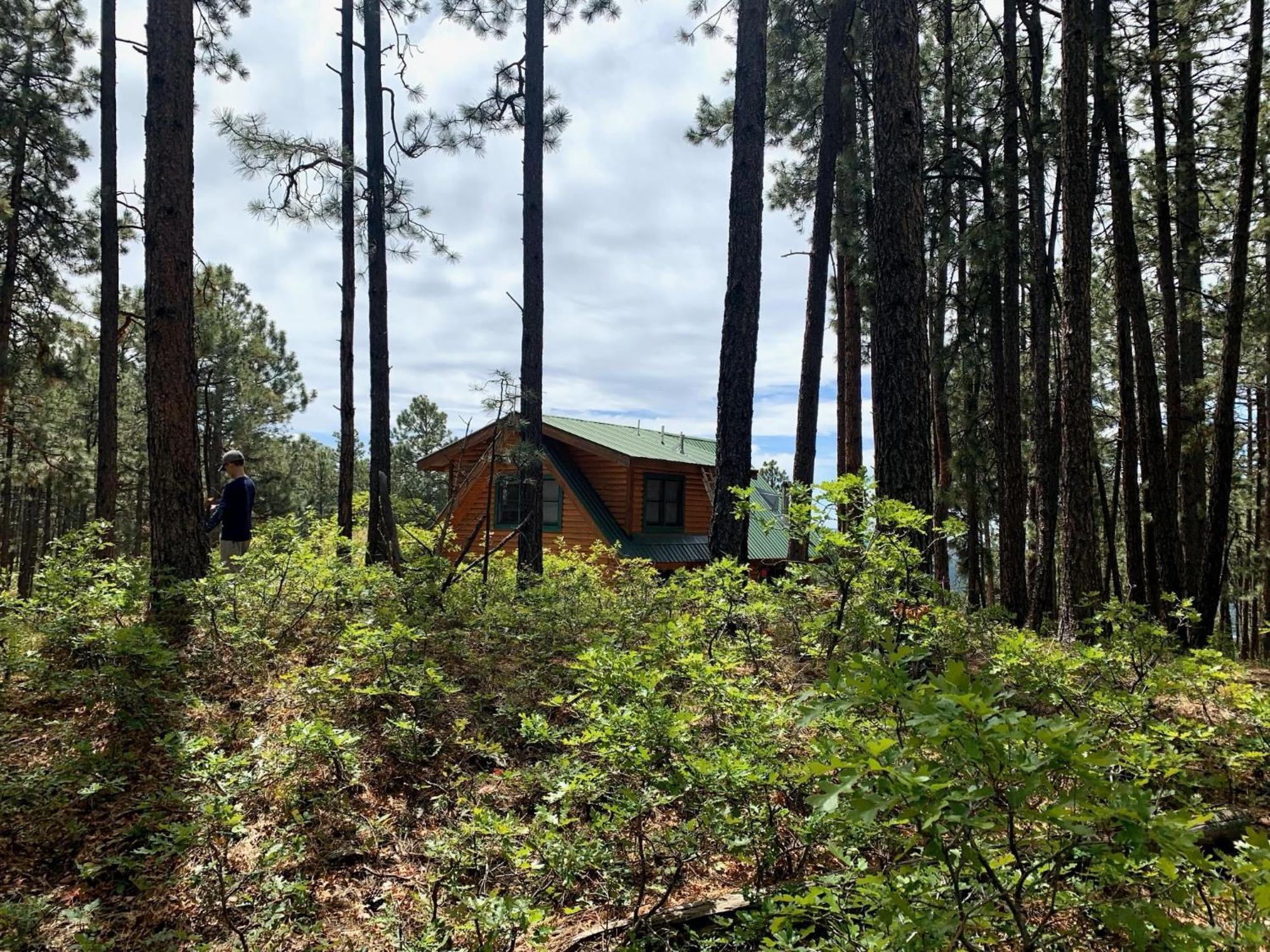Bear Paw Lodge & Vacation Homes Vallecito Екстер'єр фото